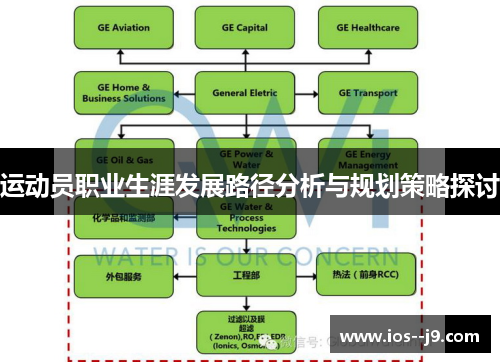 运动员职业生涯发展路径分析与规划策略探讨