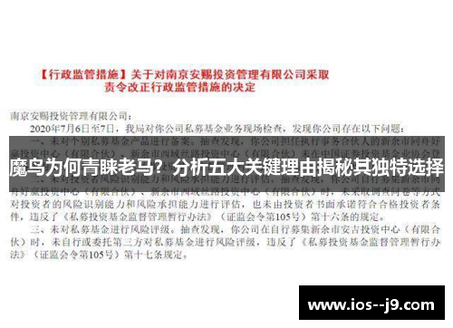 魔鸟为何青睐老马？分析五大关键理由揭秘其独特选择