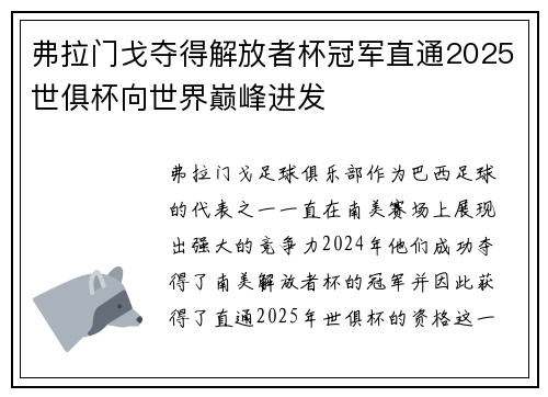 弗拉门戈夺得解放者杯冠军直通2025世俱杯向世界巅峰进发